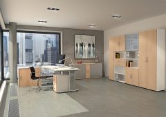 Flgeltrenschrank mit Standfen, inkl. Trdmpfer, nicht abschliebar, 800x420x2160, Buche/Wei
